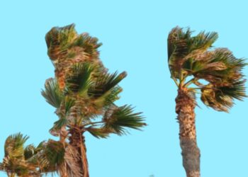 نشرة إنذارية.. رياح عاتية وعواصف رملية تجتاح عدداً من مناطق المملكة من الجمعة إلى السبت