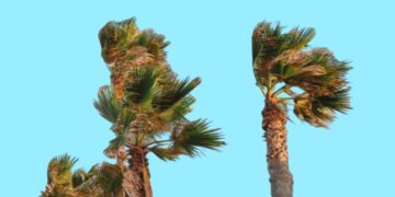 نشرة إنذارية.. رياح عاتية وعواصف رملية تجتاح عدداً من مناطق المملكة من الجمعة إلى السبت