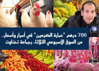 700 درهم “عمارة الكرعين” في أسرار وأسعار.. من السوق الأسبوعي الثلاثاء بجماعة تحناوت.. فيديو