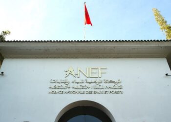 الوكالة الوطنية للمياه والغابات تعلن افتتاح موسم الصيد بالمياه البرية 2026-2027 يوم الأحد 8 مارس