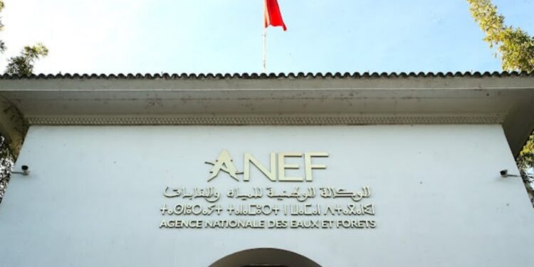 الوكالة الوطنية للمياه والغابات تعلن افتتاح موسم الصيد بالمياه البرية 2026-2027 يوم الأحد 8 مارس