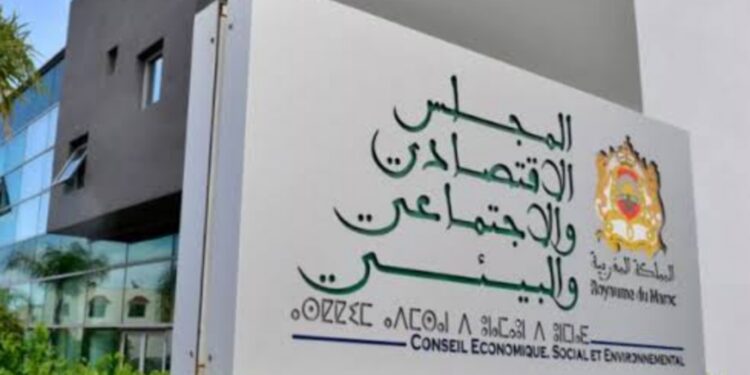 اليوم العالمي لحقوق المرأة.. المجلس الاقتصادي والاجتماعي والبيئي يدعو تحويل إلى قدرات النساء إلى رافعة للتنمية