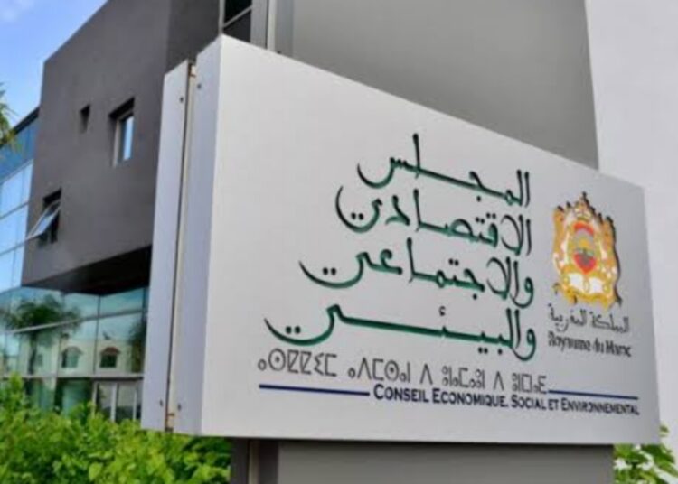 اليوم العالمي لحقوق المرأة.. المجلس الاقتصادي والاجتماعي والبيئي يدعو تحويل إلى قدرات النساء إلى رافعة للتنمية