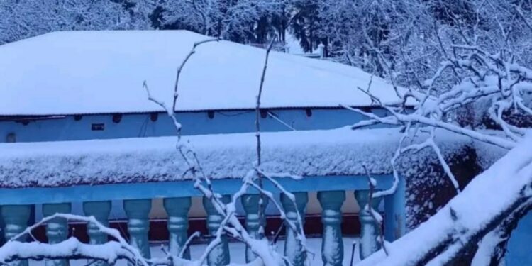 إقليم الحسيمة تحت الرداء الأبيض.. تساقطات ثلجية كثيفة تكسو مرتفعات جبال الريف بجماعة جماعة إساكن.. صور