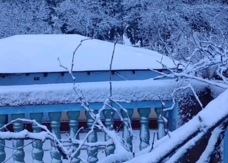 إقليم الحسيمة تحت الرداء الأبيض.. تساقطات ثلجية كثيفة تكسو مرتفعات جبال الريف بجماعة جماعة إساكن.. صور