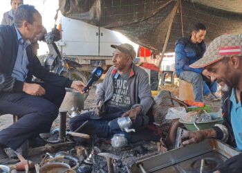 مسودة تلقائية