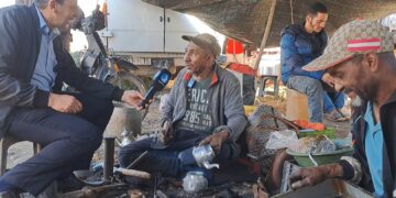 مسودة تلقائية