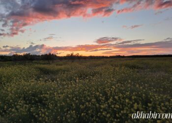 نشرة إنذارية برتقالية.. زخات رعدية قوية ورياح عاصفية تضرب عدة مناطق بالمملكة