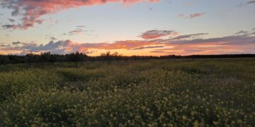 نشرة إنذارية برتقالية.. زخات رعدية قوية ورياح عاصفية تضرب عدة مناطق بالمملكة