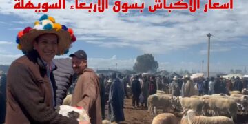 حرب الأسعار بسوق الأربعاء بمراكش.. الكسابة والباعة والشناقة في صراع مفتوح حول أثمان الأكباش.. فيديو