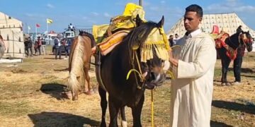 صهيل التراث يدوّي بالمنابهة: عبد اللطيف مقدم فرقة التبوردة.. “كَايْن الرَّكَّاب والرْكِيكِيبْ تايْهَرَّسْ لَعْضُوما”.. فيديو