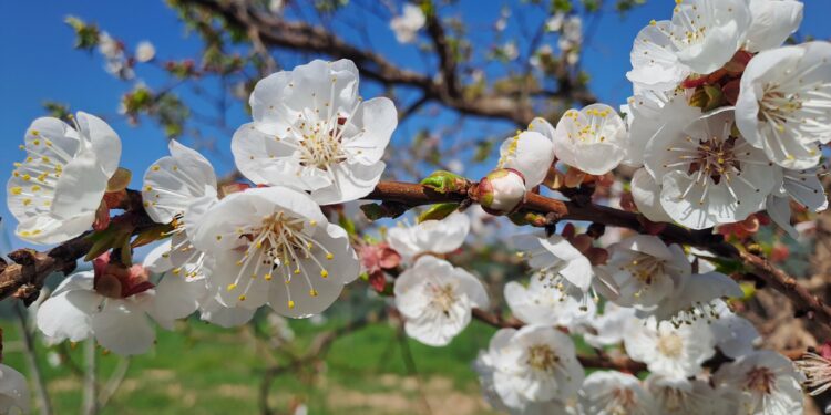طقس الجمعة بالمغرب.. برودة ليلية ورياح قوية وزخات خفيفة تلوح في الأفق