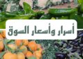 لهيب أسعار الخضر يُثقل كاهل المواطنين.. فيديو