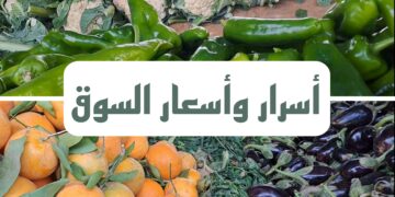 لهيب أسعار الخضر يُثقل كاهل المواطنين.. فيديو