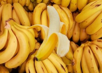 “الإيثيلين” القاتل الصامت في مطبخك.. كيف يحوّل الموز إلى قنبلة نضج سريعة؟