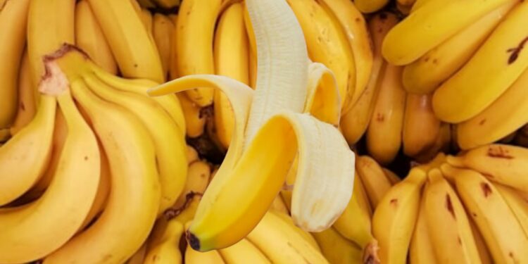 “الإيثيلين” القاتل الصامت في مطبخك.. كيف يحوّل الموز إلى قنبلة نضج سريعة؟