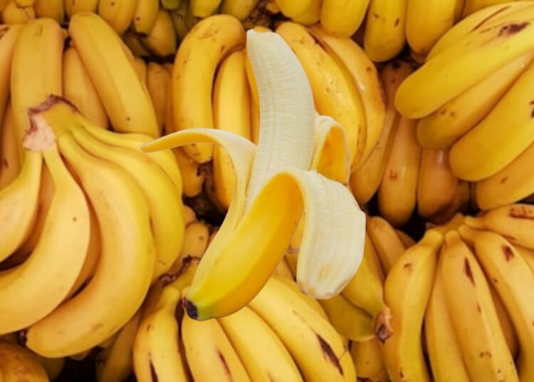 “الإيثيلين” القاتل الصامت في مطبخك.. كيف يحوّل الموز إلى قنبلة نضج سريعة؟