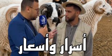 احتقان بسوق ثلاثاء تملالت.. تجار يعبّرون عن غضبهم من الركود بفعل موجة الغلاء المتزايدة.. فيديو