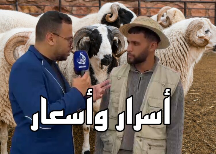 احتقان بسوق ثلاثاء تملالت.. تجار يعبّرون عن غضبهم من الركود بفعل موجة الغلاء المتزايدة.. فيديو