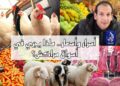 أسعار ملتهبة للأكباش والخضر والفواكه والتوابل مع اقتراب عيد الأضحى.. سوق الاربعاء بالسويهلة نمودجا.. فيديو