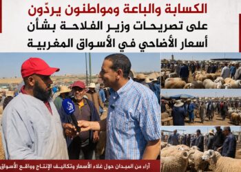 الكسابة والباعة ومواطنون يردّون على تصريحات وزير الفلاحة بشأن أسعار الأضاحي في الأسواق المغربية.. فيديو