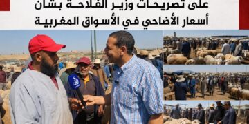 الكسابة والباعة ومواطنون يردّون على تصريحات وزير الفلاحة بشأن أسعار الأضاحي في الأسواق المغربية.. فيديو