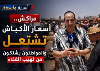 عيد الأضحى.. أسعار الأكباش تشتعل بمراكش والمواطنون يشتكون من لهيب الغلاء.. فيديو