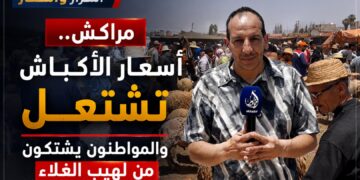 عيد الأضحى.. أسعار الأكباش تشتعل بمراكش والمواطنون يشتكون من لهيب الغلاء.. فيديو