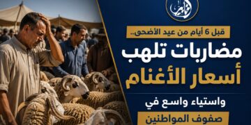 قبل 6 أيام من عيد الأضحى.. مضاربات تلهب أسعار الأغنام واستياء واسع في صفوف المواطنين.. فيديو