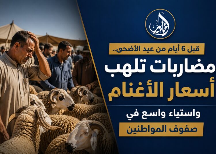 قبل 6 أيام من عيد الأضحى.. مضاربات تلهب أسعار الأغنام واستياء واسع في صفوف المواطنين.. فيديو