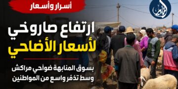 ارتفاع صاروخي لأسعار الأضاحي بسوق المنابهة ضواحي مراكش وسط تذمّر واسع من المواطنين.. فيديو