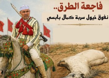بالبروج.. نفوق خيول سربة كمال بابسي يهزّ التبوريدة