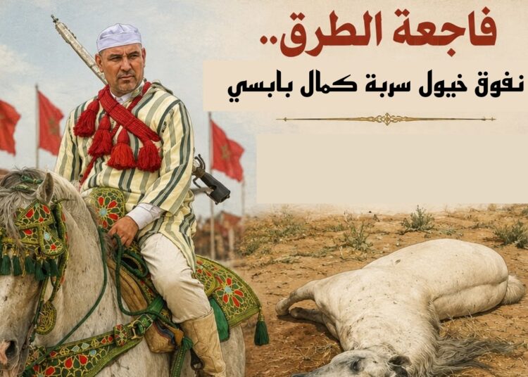 بالبروج.. نفوق خيول سربة كمال بابسي يهزّ التبوريدة