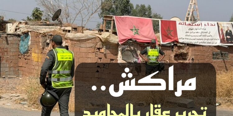 استنفار بالمحاميد.. السلطات تُزيل مساكن شُيدت فوق عقار للعمران