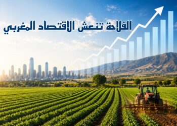 المندوبية: الفلاحة تنعش الاقتصاد المغربي.. والنمو يستقر عند 4.6%