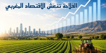 المندوبية: الفلاحة تنعش الاقتصاد المغربي.. والنمو يستقر عند 4.6%