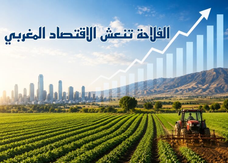 المندوبية: الفلاحة تنعش الاقتصاد المغربي.. والنمو يستقر عند 4.6%