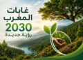 أهم المحاور الاستراتيجية لبرنامج “غابات المغرب 2020-2030”