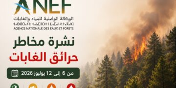 الوكالة الوطنية للمياه والغابات تُحيّن نشرة مخاطر حرائق الغابات للأسبوع المقبل