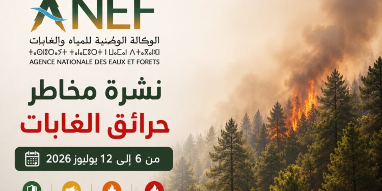 الوكالة الوطنية للمياه والغابات تُحيّن نشرة مخاطر حرائق الغابات للأسبوع المقبل
