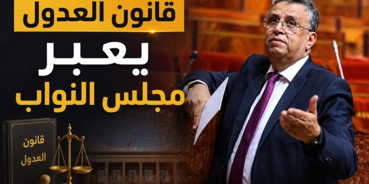 قانون العدول يعبر مجلس النواب بعد ترتيب الآثار القانونية لقرار المحكمة الدستورية