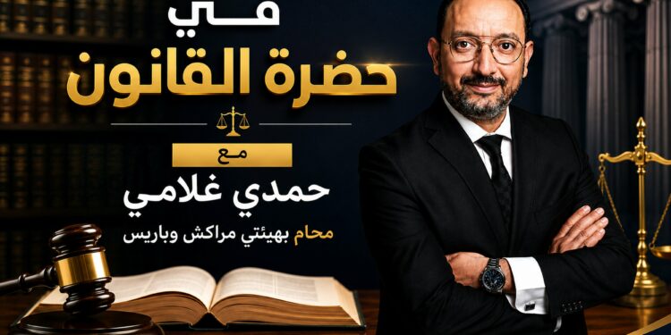 الآثار القانونية لقرار المحكمة الدستورية القاضي برفض البت في نص قانون مهنة المحاماة بعلة عيب في الاحالة