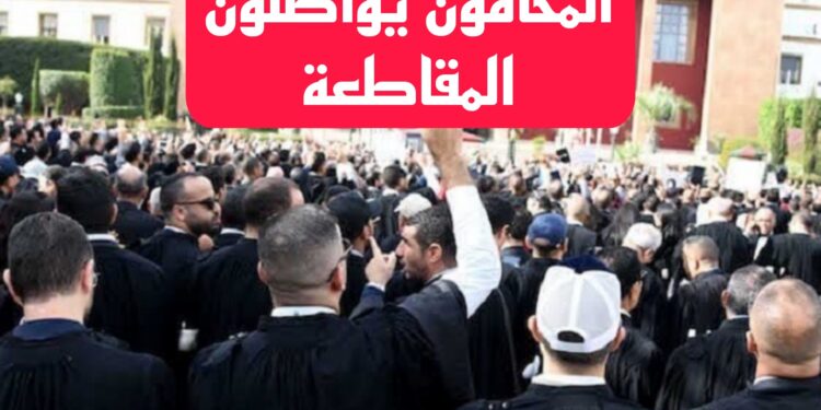 المحامون بالمغرب يواصلون مقاطعة المهام القضائية رفضاً لقانون المهنة