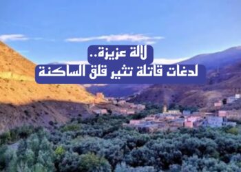 لالة عزيزة.. وفيات جراء لدغات الأفاعي والعقارب تثير مخاوف بشأن الخدمات الصحية