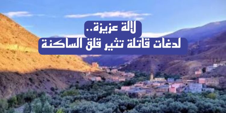 لالة عزيزة.. وفيات جراء لدغات الأفاعي والعقارب تثير مخاوف بشأن الخدمات الصحية