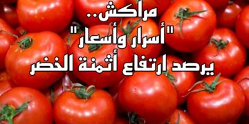 “أسرار وأسعار” يرصد ارتفاع أثمنة الخضر بسوق الأربعاء بالسويهلة بمراكش.. فيديو