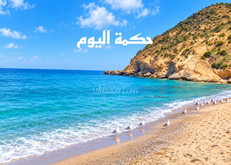حكمة اليوم.. كلمة تختصر الكثير